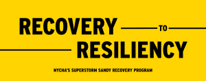 recovery-resiliency-header